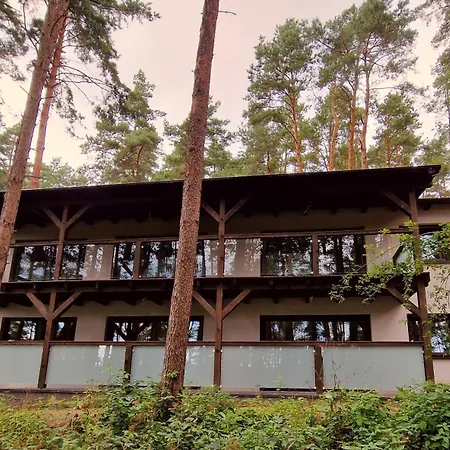 Sosny 2,3 Nad Jeziorem Otw Borowno Wielkie *