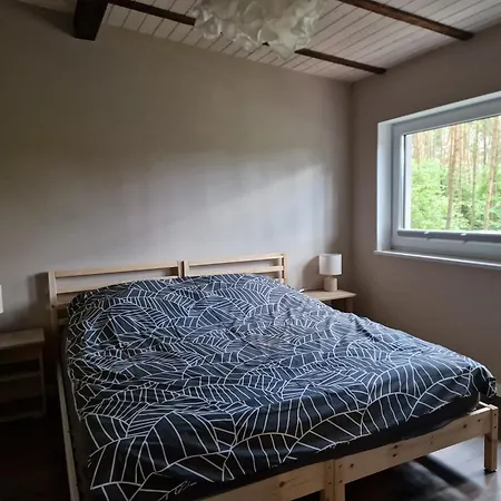 Appartement Sosny 2,3 Nad Jeziorem Otw Borowno Wielkie *