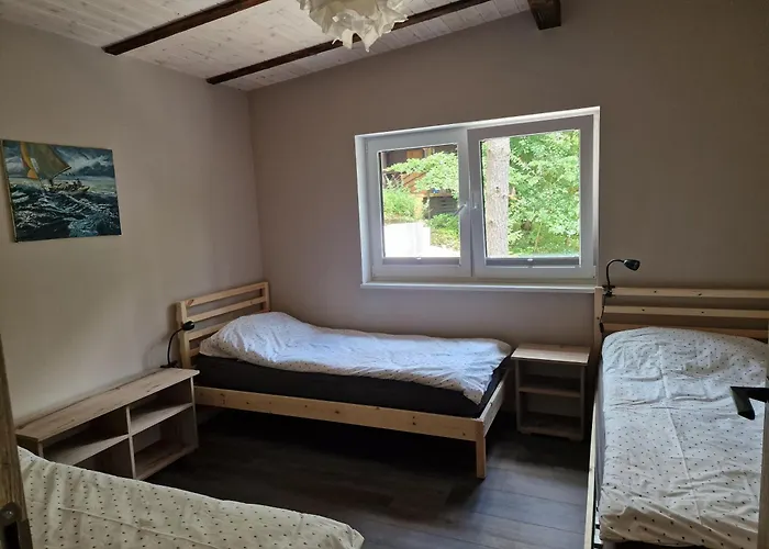 Sosny 2,3 Nad Jeziorem Otw Borowno Wielkie *