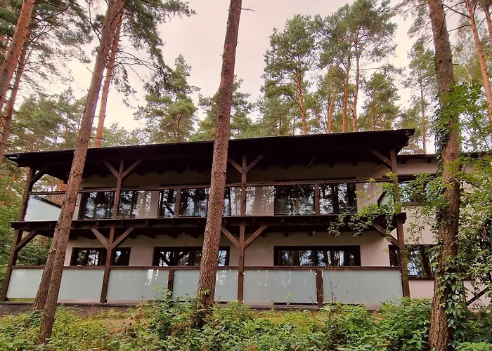 Sosny 2,3 Nad Jeziorem Otw Borowno Wielkie *